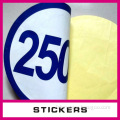 CMYK printed paper self adhesive lable stickers in China